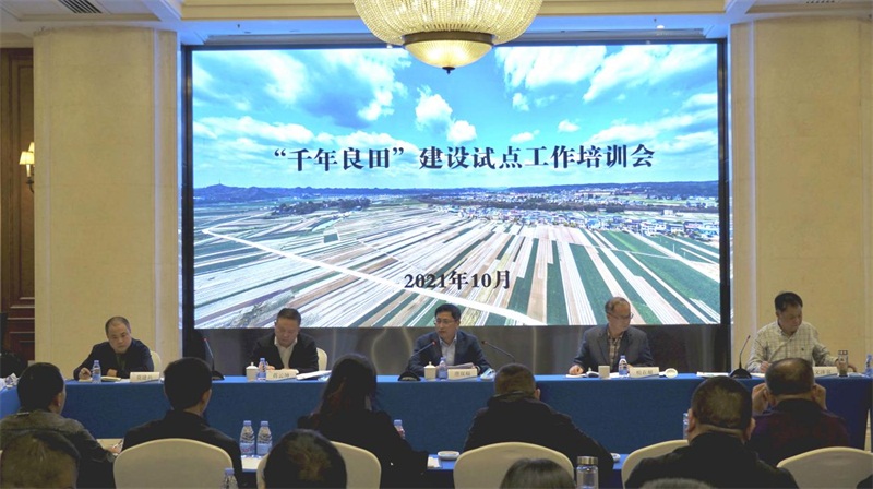 图片3.jpg 图片3.jpg