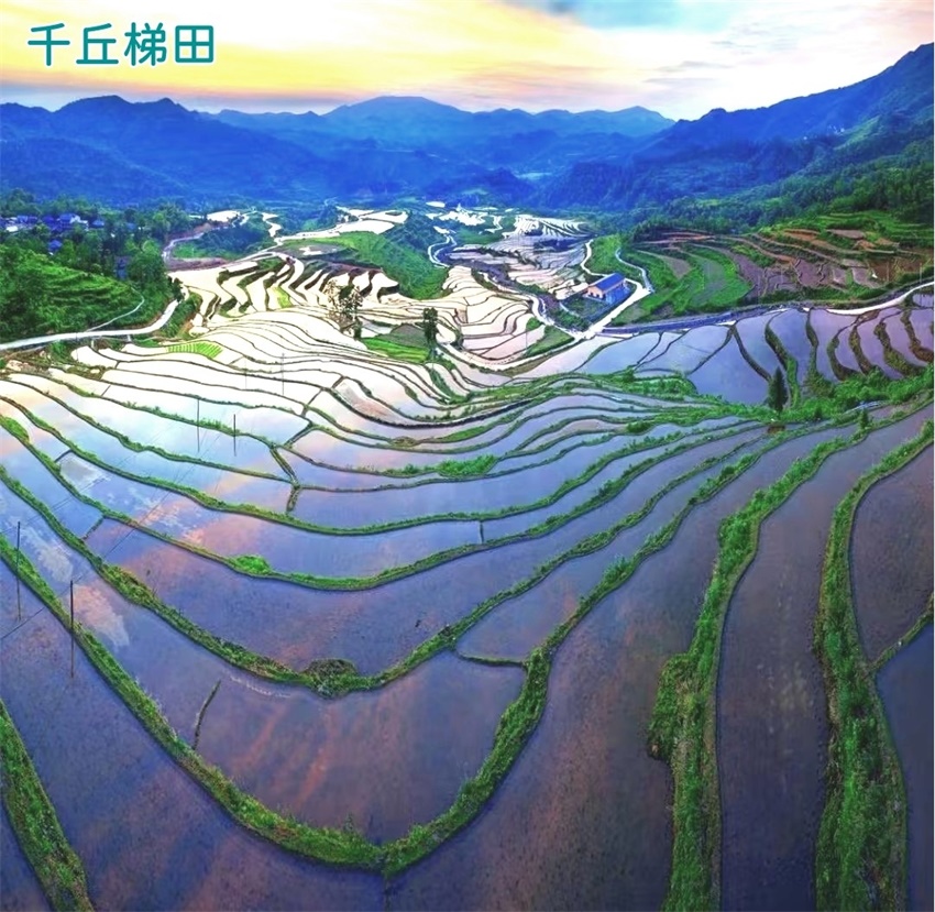 图片3.jpg 图片3.jpg