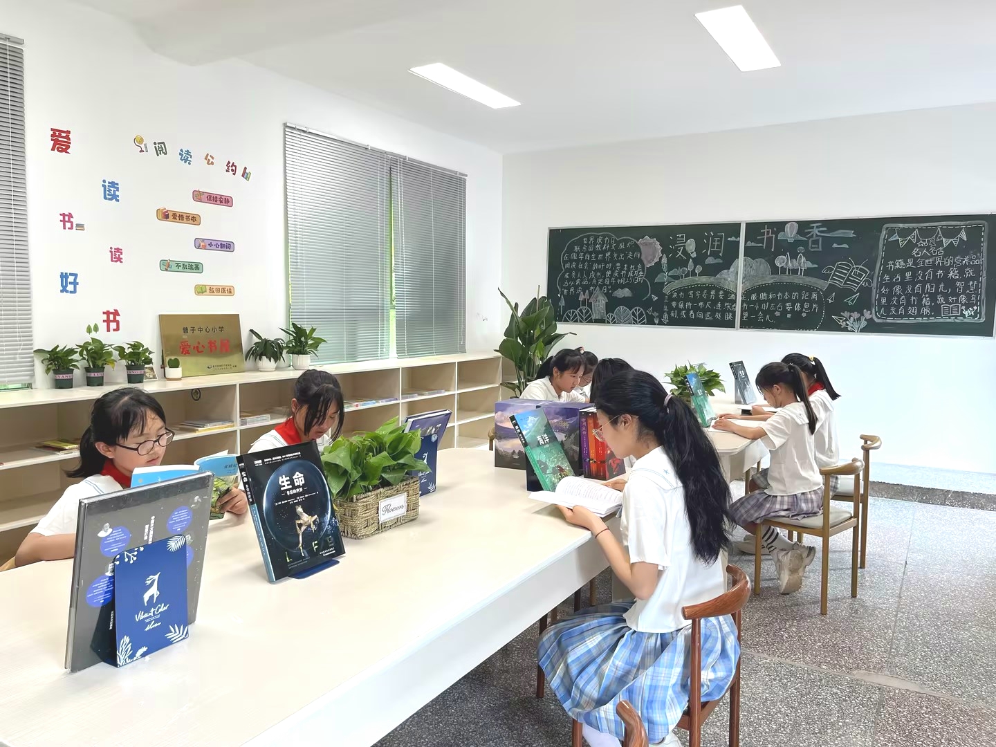 图片12.jpg 图片12.jpg